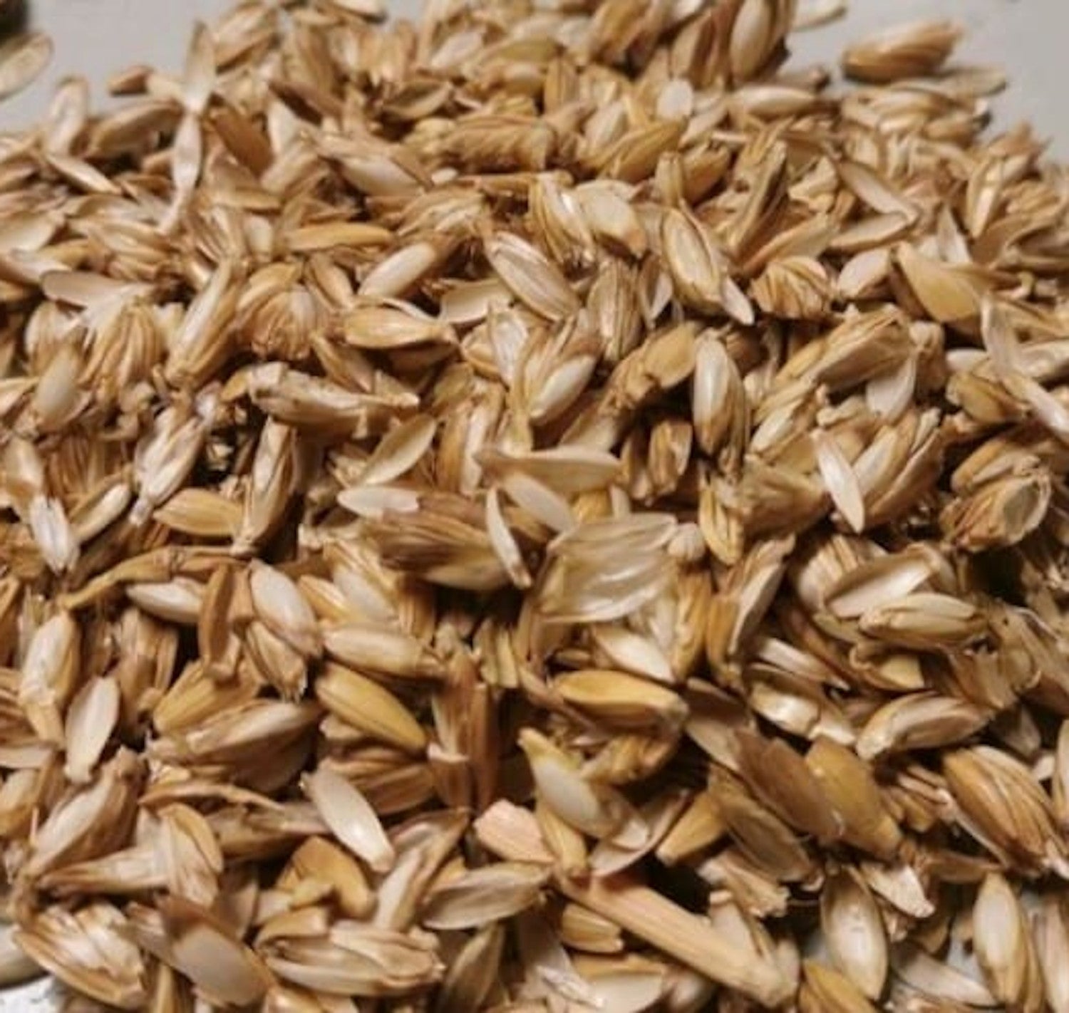 Dinkelschalen 10 kg
