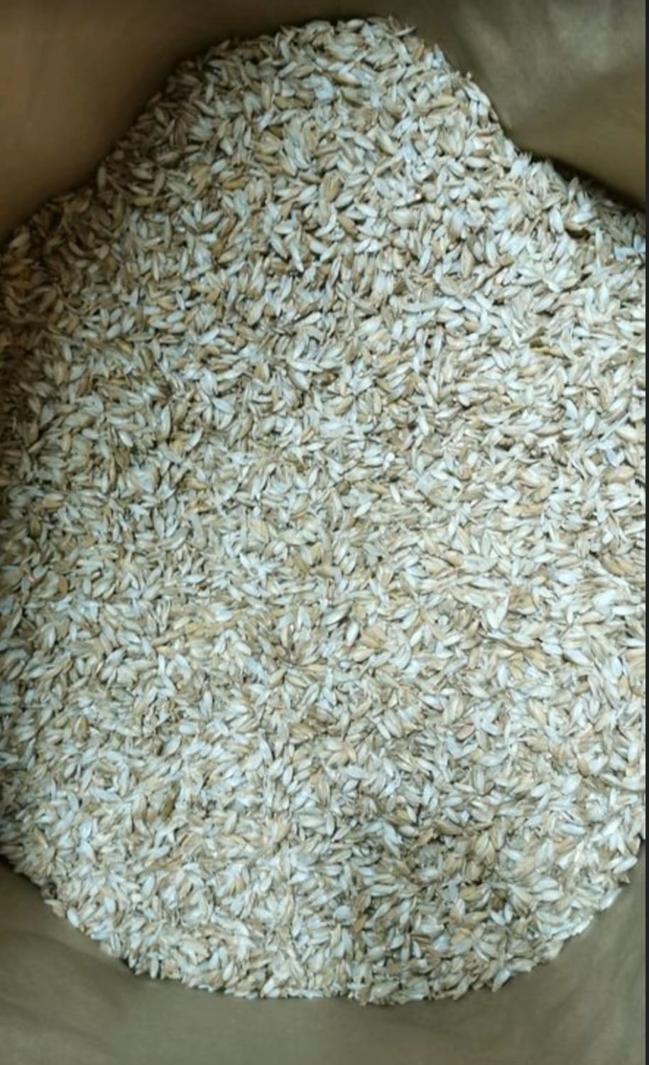 Dinkelschalen 10 kg