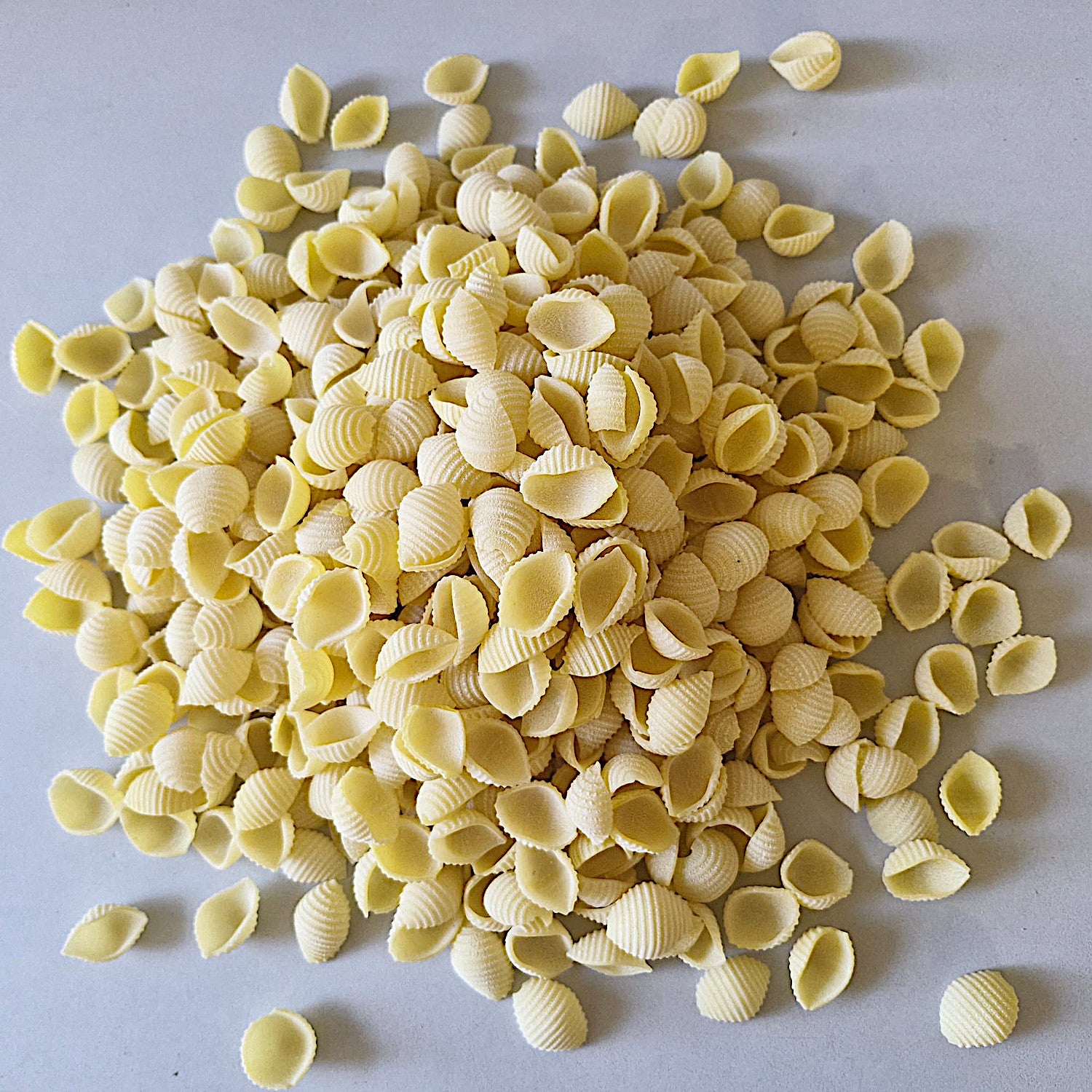 2x Hartweizen Conchiglie Nudeln 500g