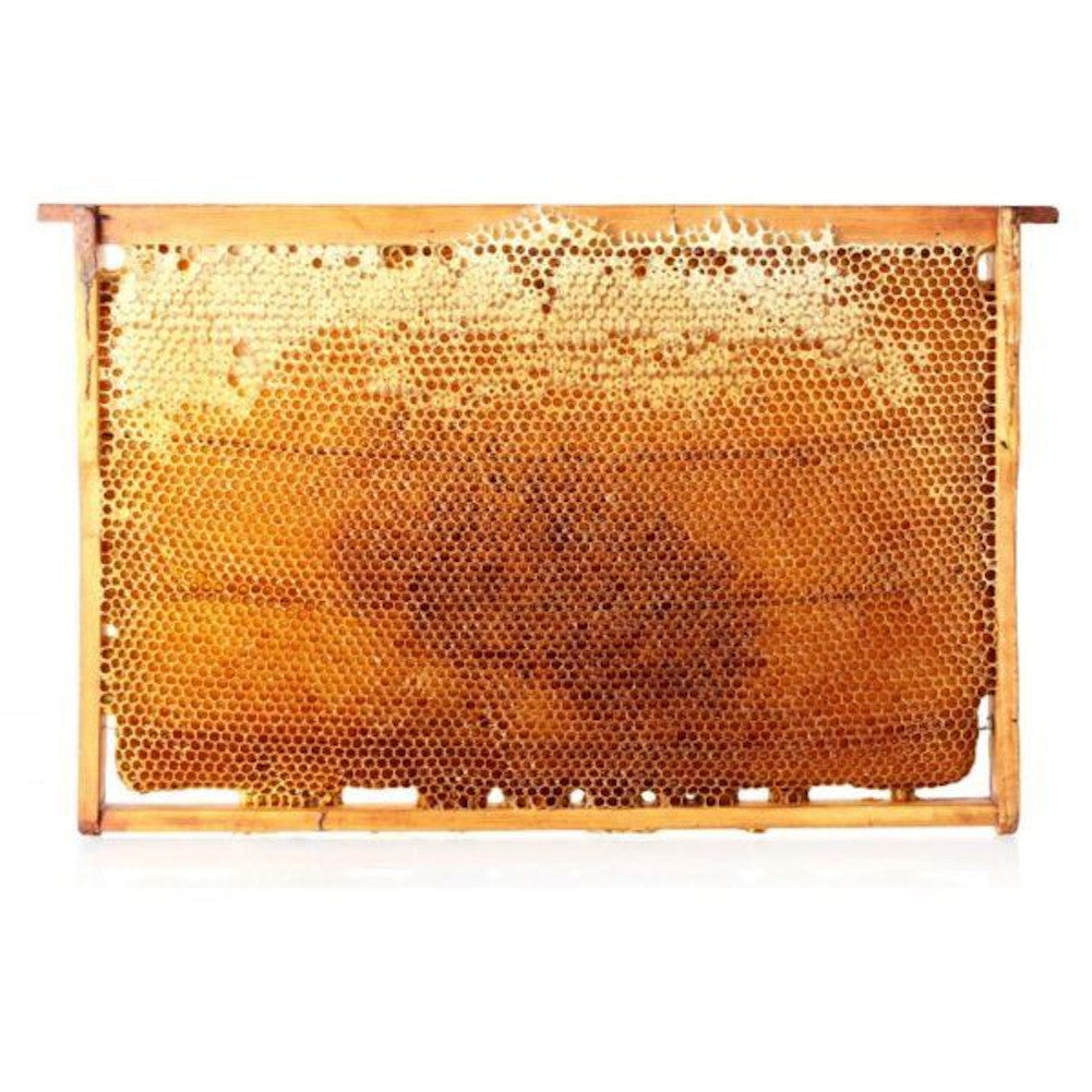 Honigwabe mit Hocharomatischem Wildblumenhonig im traditionellen Holzrähmchen ca. 3000g