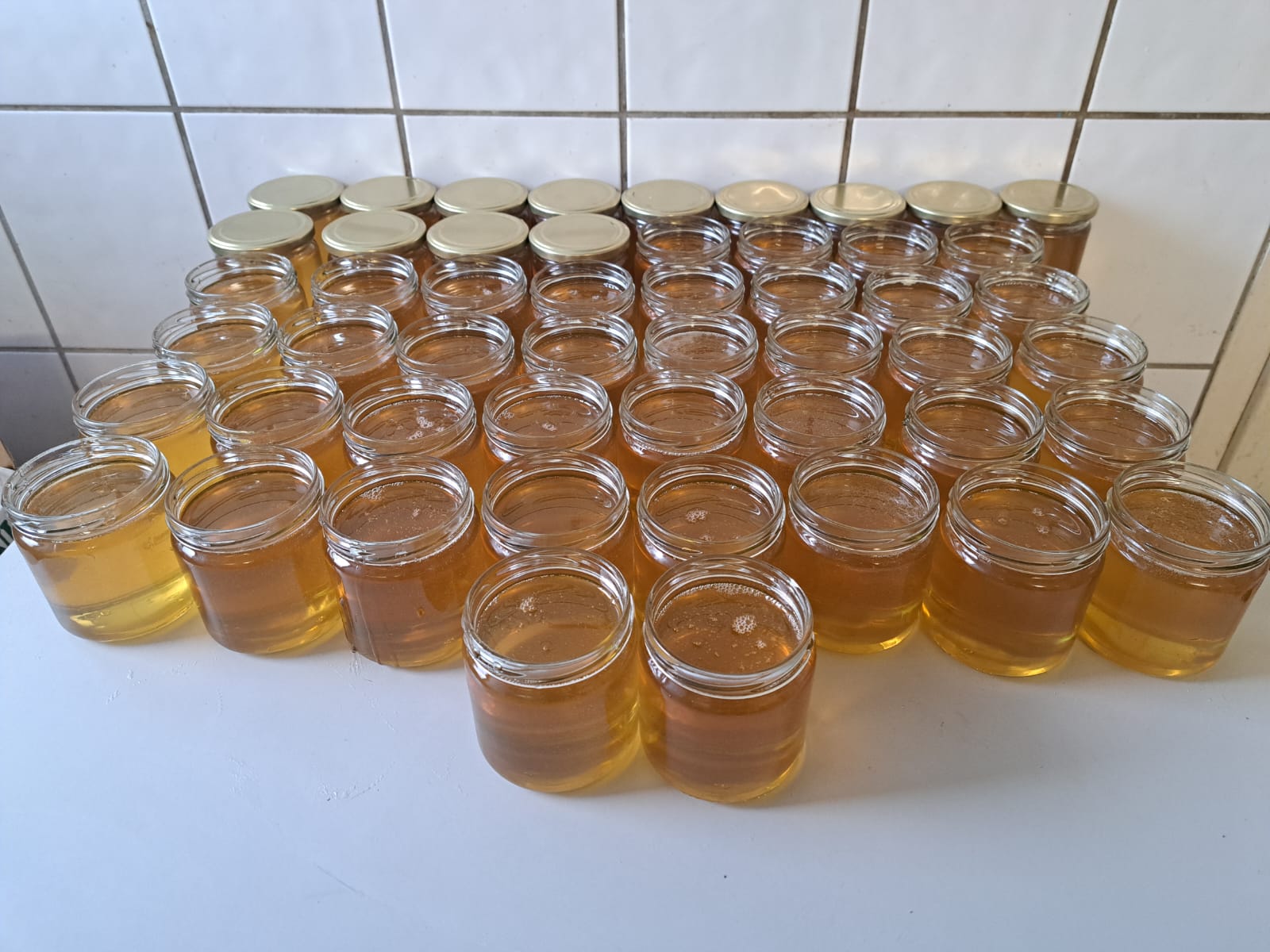 Herzog Akazienhonig 500g