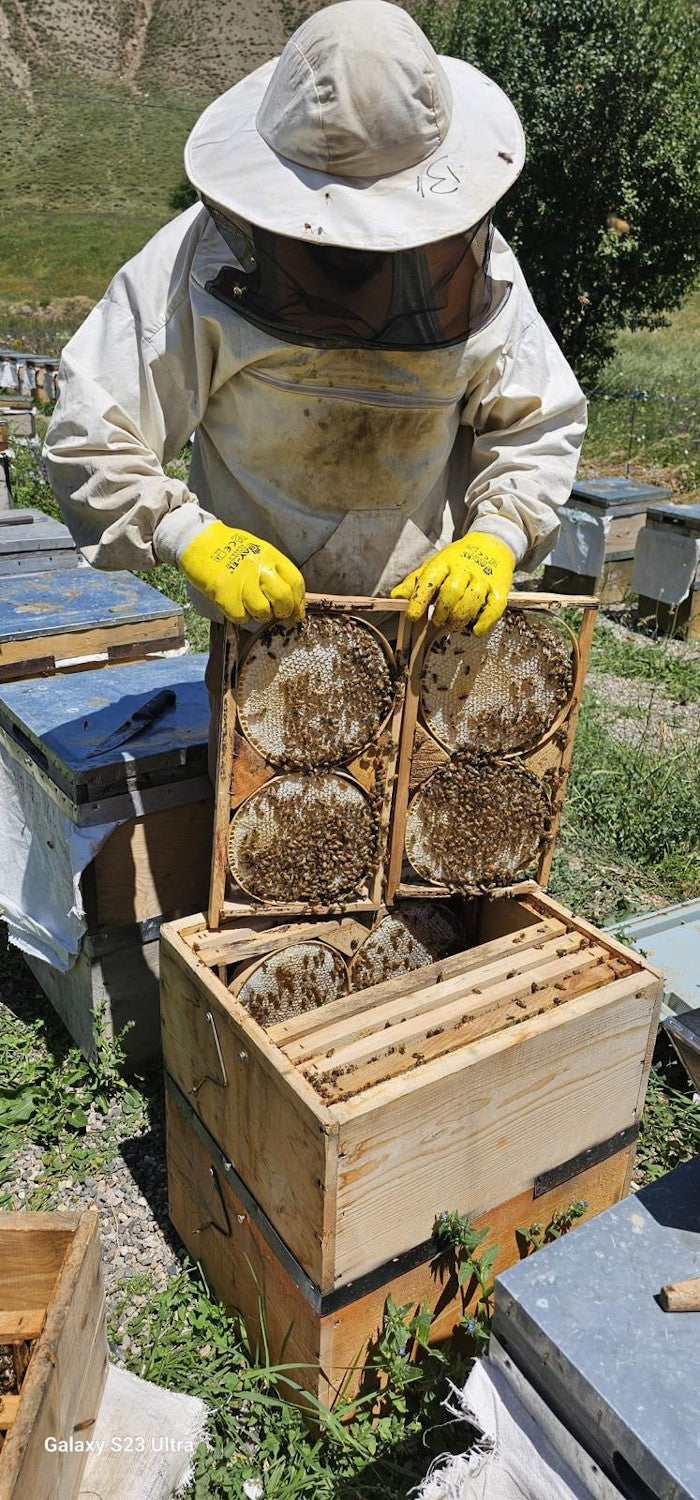 Wildblumenhonig 850g in Premium Qualität Gold-Blütenhonig 100% Naturbelassen, rein und natürlich, Gold prämiert in London und Paris