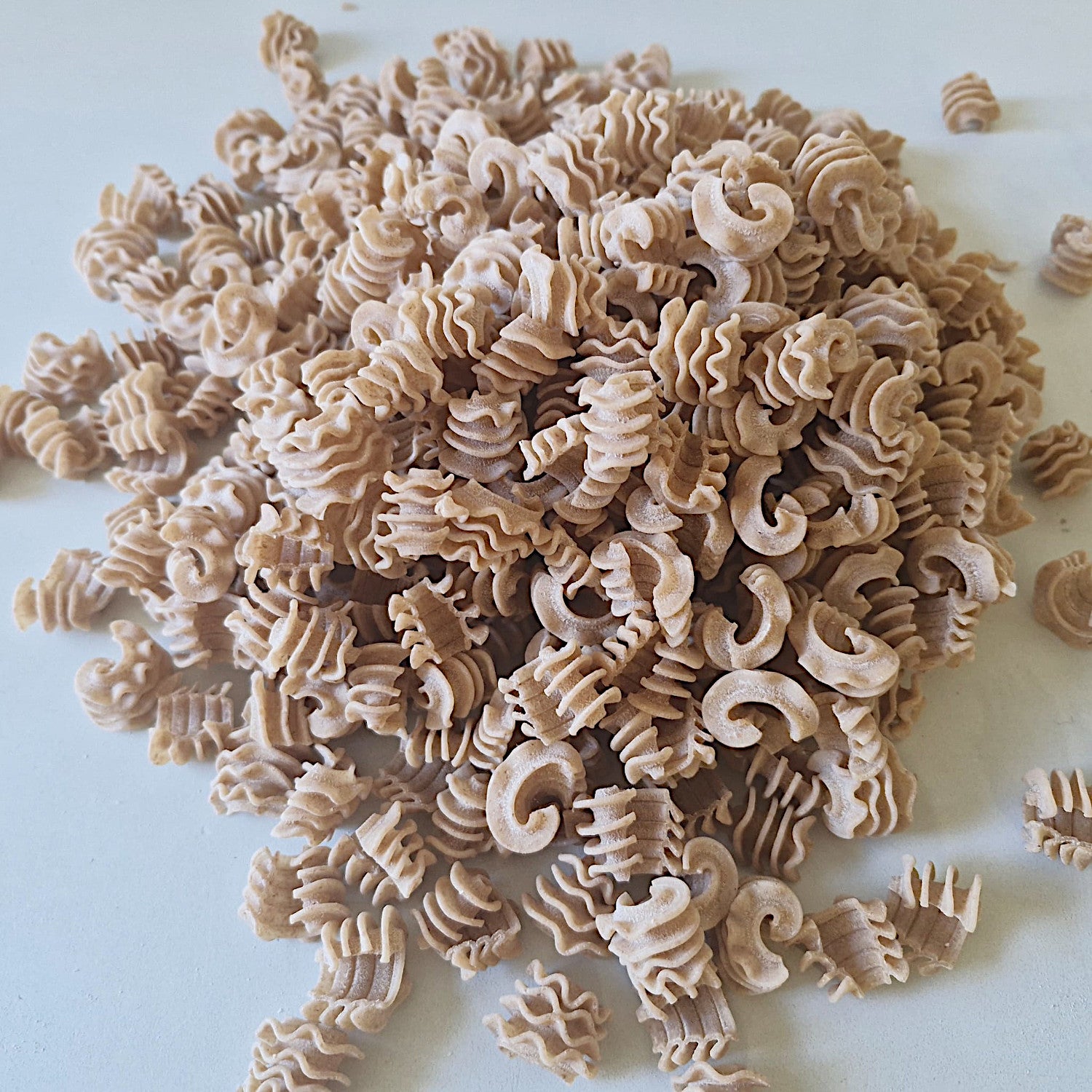 2x Dinkelvollkorn Radiatori Nudeln 500g