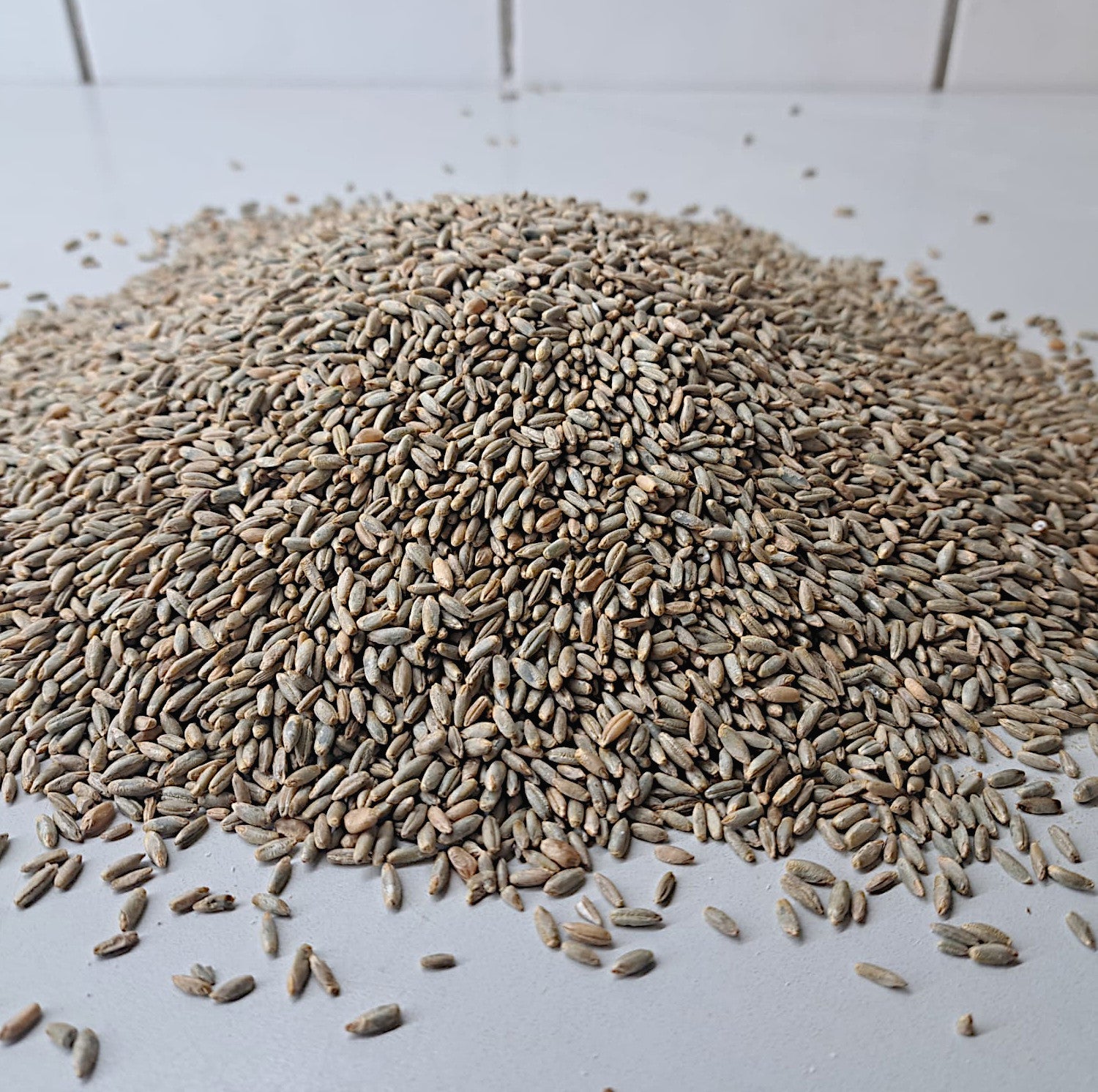 Champagner Roggenkörner