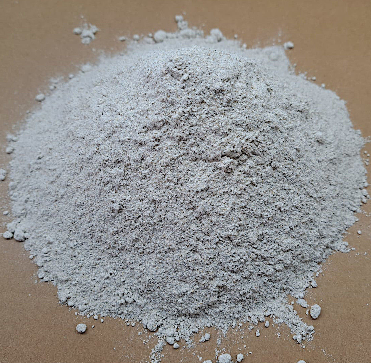 Champagner Roggenvollkornmehl