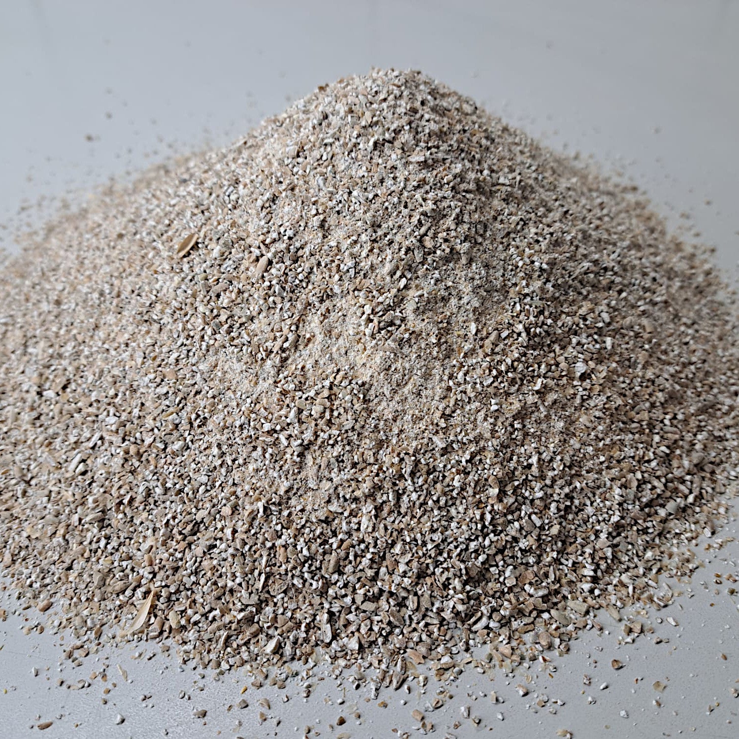 Champagner Roggenvollkornschrot