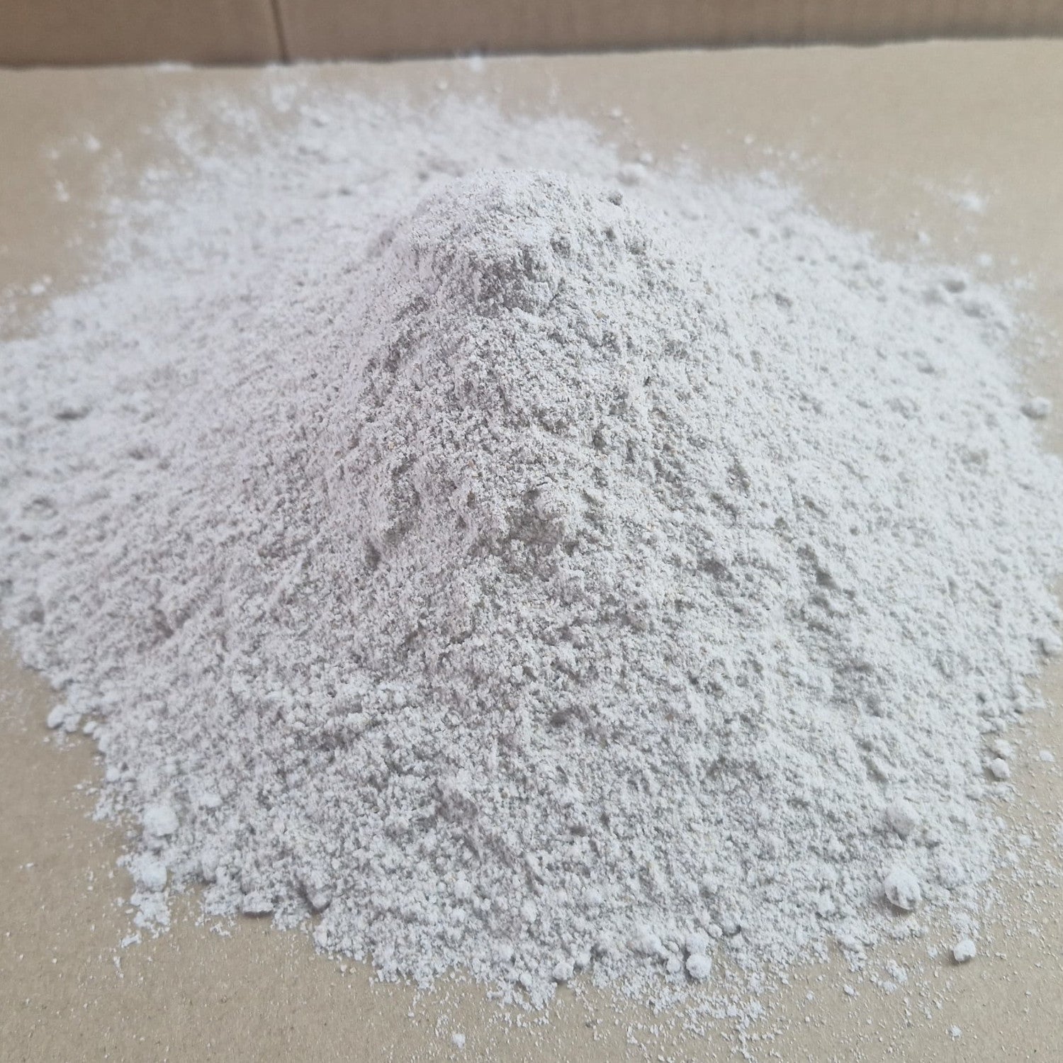 Roggenvollkornmehl Sibirischer Waldstaudenroggen