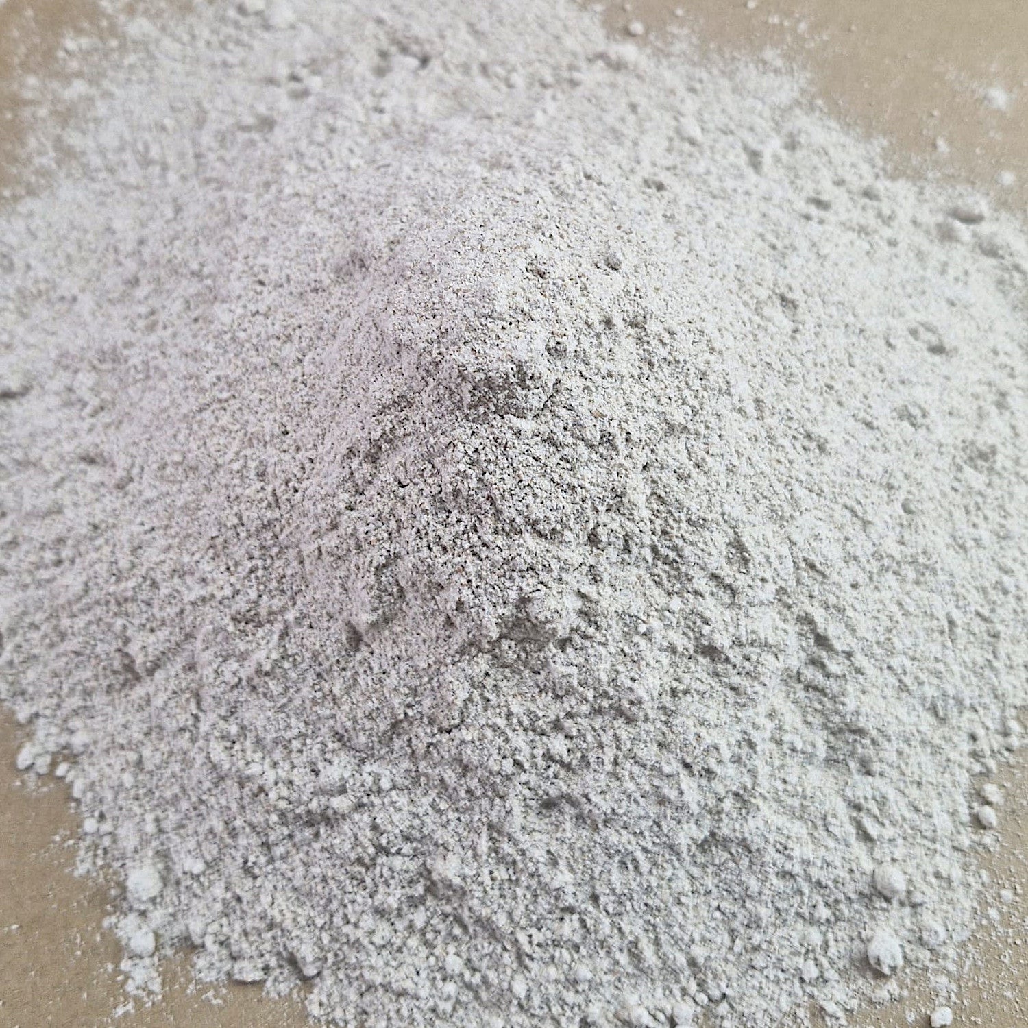 Roggenvollkornmehl Sibirischer Waldstaudenroggen