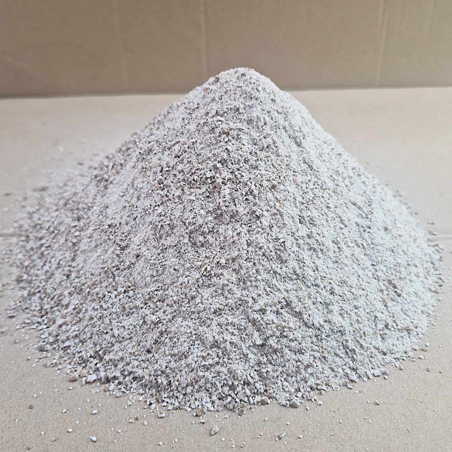 Roggenvollkornschrot Sibirischer Waldstaudenroggen