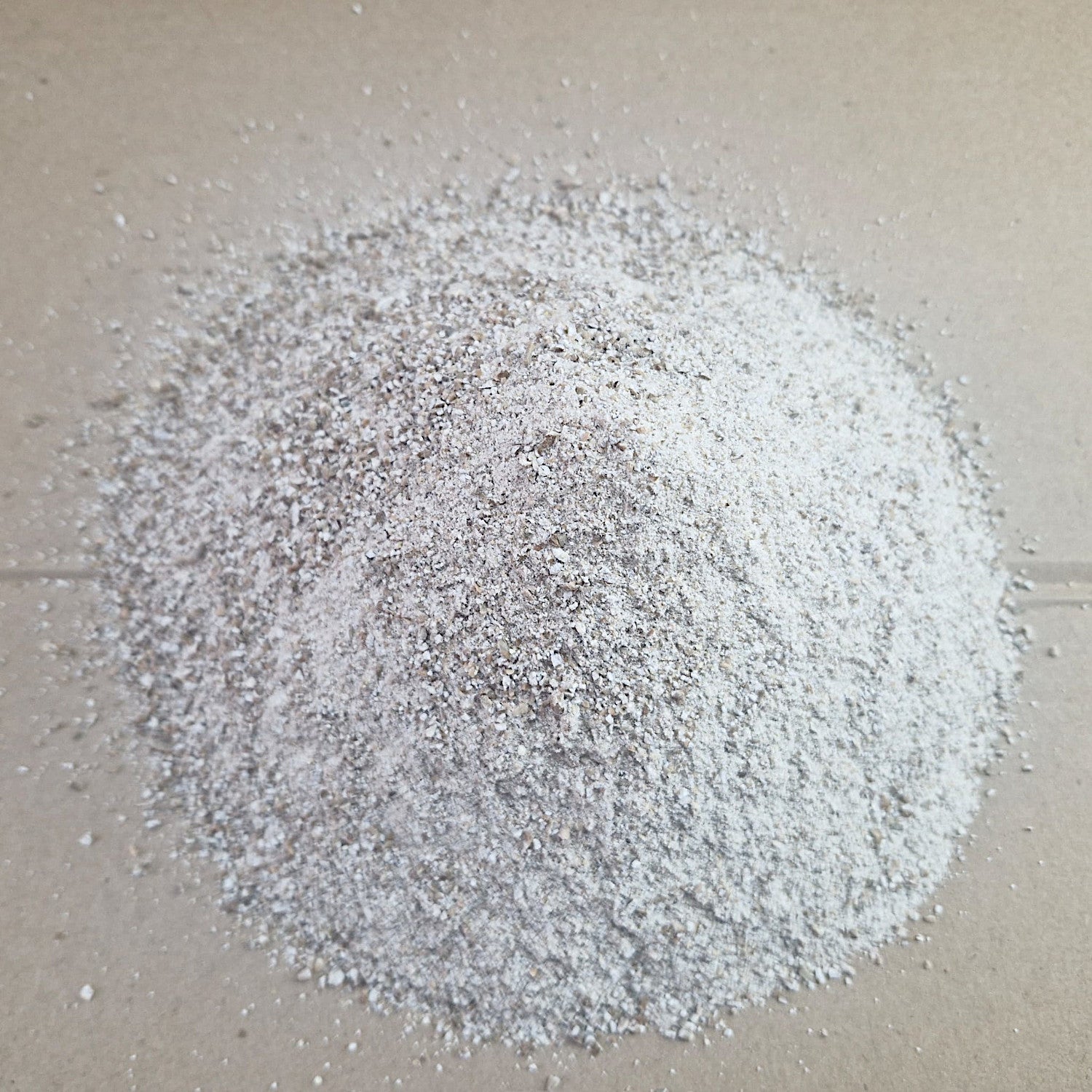 Roggenvollkornschrot Sibirischer Waldstaudenroggen